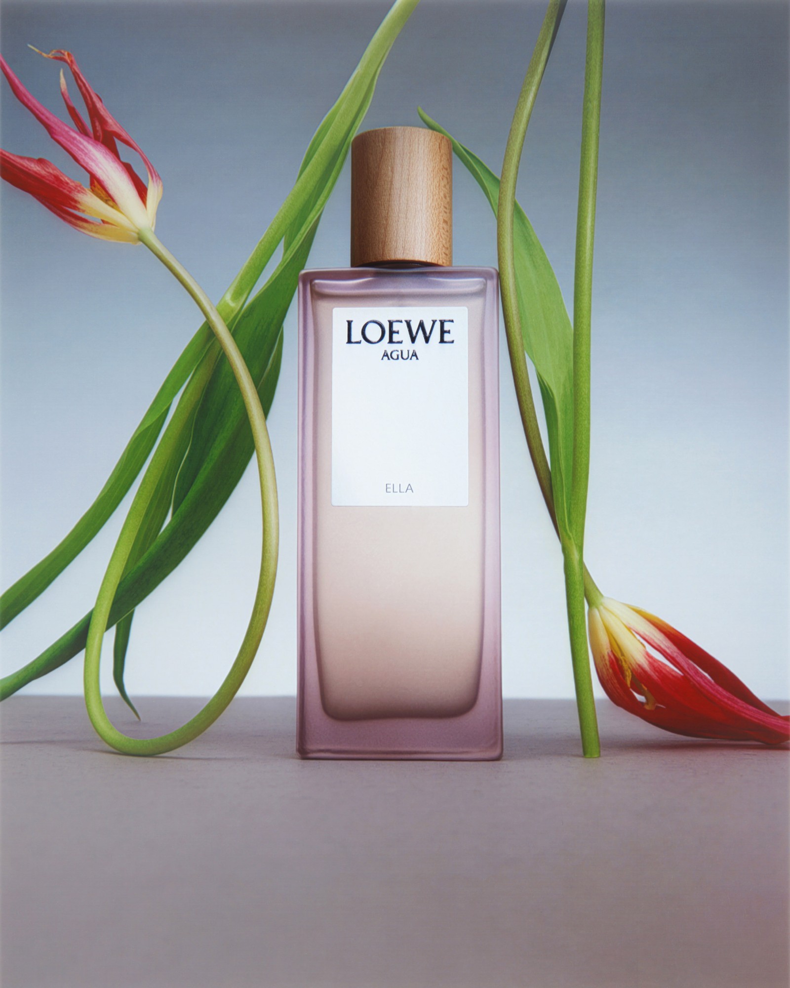 26.04.2024_selphy-loewe_-2_pouss_ens-plat-copie-r-copie.jpg