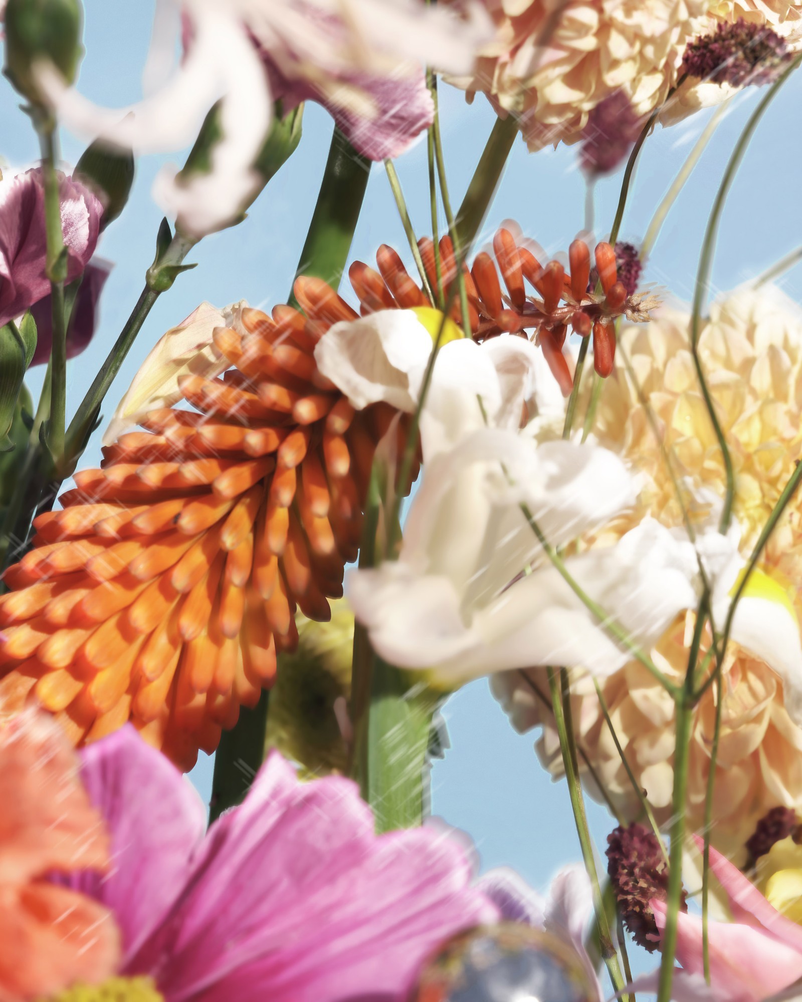 nature23_07_0169_4x5.jpg